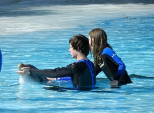 Swim with the Dolphins at the Zoomarine in Guia