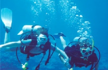 Scuba diving in the Algarve 